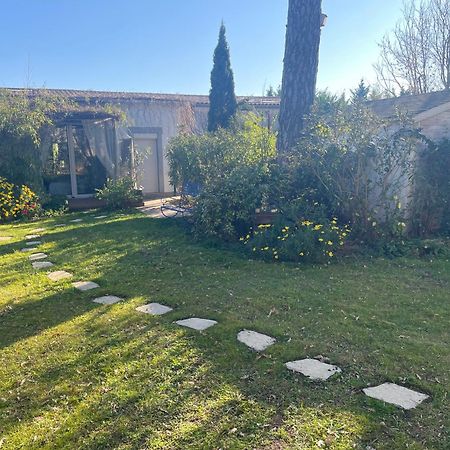 Chambre Seville - Mas Saint-Louis - Piscine Chauffee Aigues-Mortes Eksteriør bilde