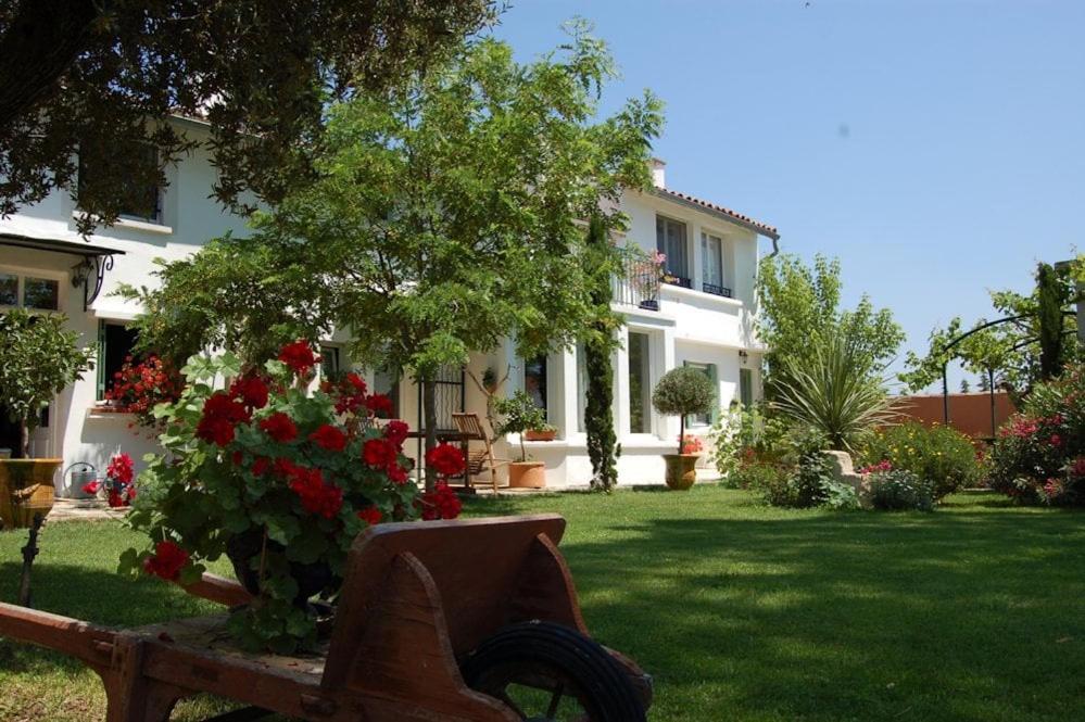 Chambre Seville - Mas Saint-Louis - Piscine Chauffee Aigues-Mortes Eksteriør bilde