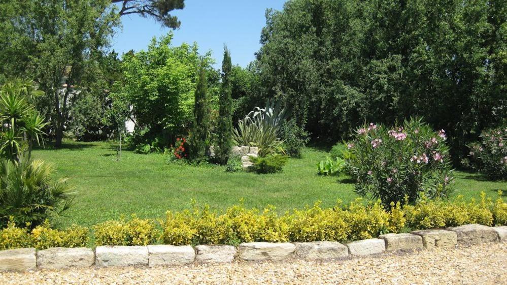 Chambre Seville - Mas Saint-Louis - Piscine Chauffee Aigues-Mortes Eksteriør bilde